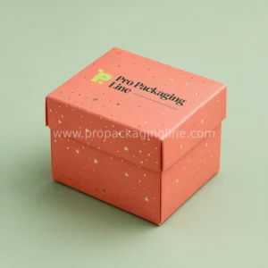 Party Favor Boxes