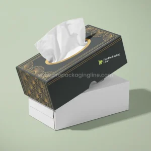 Custom tissue box: charcoal rigid tissue box cover with gold art-deco fan pattern lifting over a refill carton, Pro Packaging Line logo